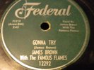 JAMES BROWN- FEDERAL-12292- GONNA TRY/CANT BE THE SAME