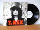T. REX 