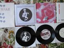 The Wake Record Store Day/Beach Fossils/Wild Nothing