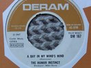 THE HUMAN INSTINCT- A DAY IN MY MINDS MIND DERAM UK EX