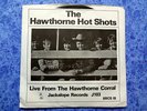 BEACH BOYS Hawthorne Hot Shots 2EP TMOQ pic sleeve NM-