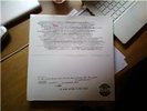 Ty Segall Ty Rex *CLEAR* LP RSD OOP Oh Sees Sic Alps