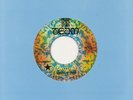 GARAGE PUNK Shadows Of Knight-Shake Garage Soul Beats