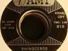 Stan Robinson 60s R&B/Popcorn 45 on Amy Rhinoceros