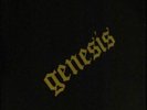CLEAN 1969   GENESIS   TO REVELATION 1st P GABRIEL Prog