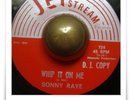 Sonny Raye Whip It On Me R&B MOD SOUL POPCORN HEAR 45