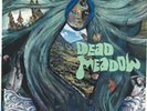 Dead Meadow st VINYL very near mint