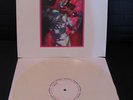JOHN MAUS Love is Real LP panda bear ariel pink antony