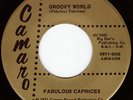 FABULOUS CAPRICES Groovy World  DEEP FUNK 45