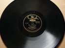 Fred Gardner's Texas University Troubadours