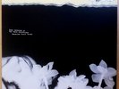 Hope Sandoval - Bavarian Fruit Bread LP mazzy star