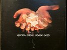 Gregory James Edition Gonna Grow Some Gold LP Orig HEAR