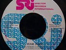 THE RISING SUN Miami Bump SRI MIAMI FUNK SOUL 45 HEAR
