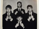The Beatles Leave My Kitten Alone - MINT picture sleeve