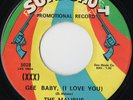 The Malibus - Gee Baby (I Love You) Sure Shot original