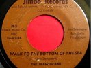 * FRANCISCANS Walk To Bottom Of The Sea NORTHERN SOUL ?