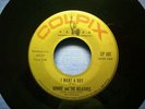 Ronnie & The Relatives - I Want A Boy - Girl Group 45