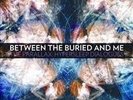 Between The Buried and Me The Parallax RSD 2011