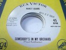 HEAR Popcorn 45 NANCY ADAMS Somebody's in my Orchard o