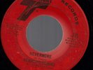 SOUL 45  Renaldo Domino NEVERMORE/NOT TOO COOL...  Rare
