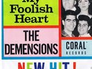 THE DEMENSIONS ON CORAL  RARE PICTURE SLEEVE