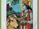 BEATLES  Radha Krishna Temple Govina Apple # 1821 W/Slv