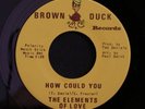45 ELEMENTS OF LOVE on BROWN DUCK rare sweet soul HEAR