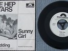 The Hep Stars Sunny Girl Pre-Abba White Lable Promo top