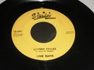 Rare orig Starday Rockabilly 45 Link Davis 16 CHICKS
