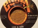 The Sheep Wyld 60s Garage 45 on Boom Bunker Hill cover