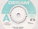 FOCAL POINT-LOVE YOU FOREVER/SYCAMORE SID*RARE PSYCH