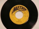 ELMORE JAMES 45 Rare Blues/R&B   I BELIEVE