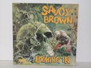 LP: SAVOY BROWN; LOOKING IN; UK DECCA ORIGINAL NM