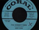 TEEN 45 ANDY ROSE YOU WEREN'T THERE CORAL DJ HEAR