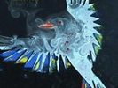 POWDERFINGER Golden Rule LP 12 Inch Vinyl Brand New