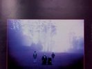 MACKENZIE THEORY - OUT OF THE BLUE- RARE OZ PROG- NM