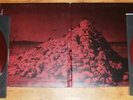 WEAKLING DEAD AS DREAMS 2 X LP RED VINYL TUMULT