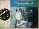 THE SURFADELICS too good to be true 7