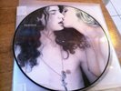 Madonna Rare Moments Vol. 2 Picture Disc Nude