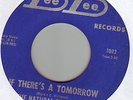 northern sweet soul 45 NATURAL RESOURCES  Dee Dee RARE