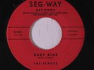 ECHOES: Baby Blue / Boomerang 45 rare Vocal Groups