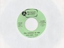 STEVE PARKS Still Thinking Of You REYNOLDS 45 DEEP SOUL