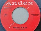 RAIDERS 45 Hocus Pocus 1958 ROCKABILLY on ANDEX  VG+