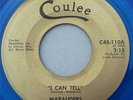 MARAUDERS 45 I Can Tell 1964  Garage Punk COULEE
