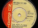 MINI REALLY FIT THEM / SOUL TRAIN - THE SOUL FLAMES