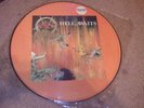SLAYER RARE HELL AWAITS PICTURE DISC 1985 ORIGINAL
