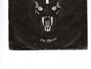 AFTER DARK 'EVIL WOMAN' EP NWOBHM PRIVATE SRT CUS 1981