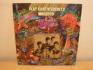 FLAT EARTH SOCIETY Waleeco US 1968 ORIG PSYCH LP MINT-