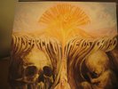 MOODY BLUES IN SEARCH OF LOST CHORD 180 Gram Sealed LP