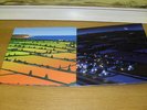Lemon Jelly Lost Horizons Vinyl